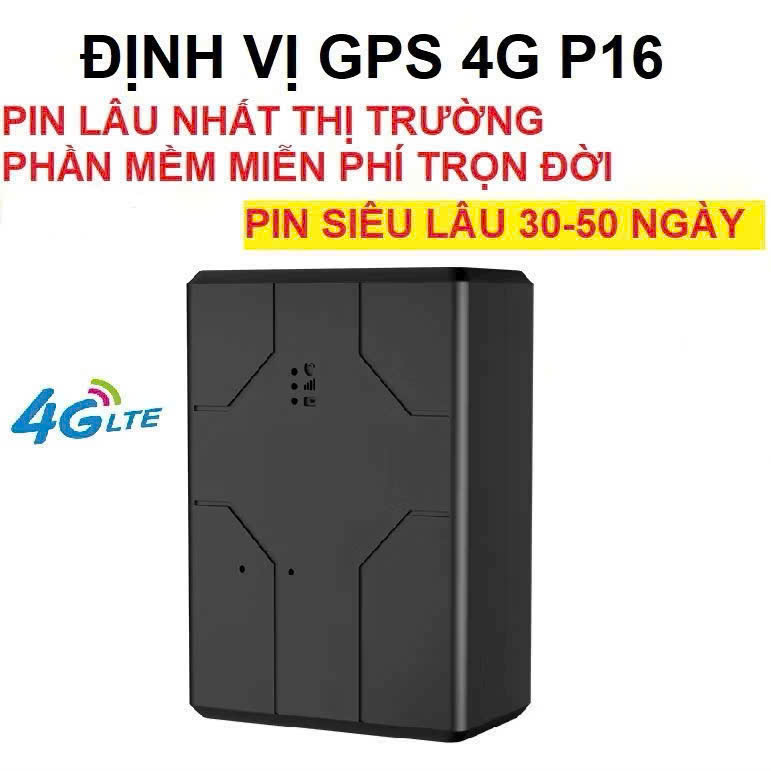 Dinh-vi-P16-1